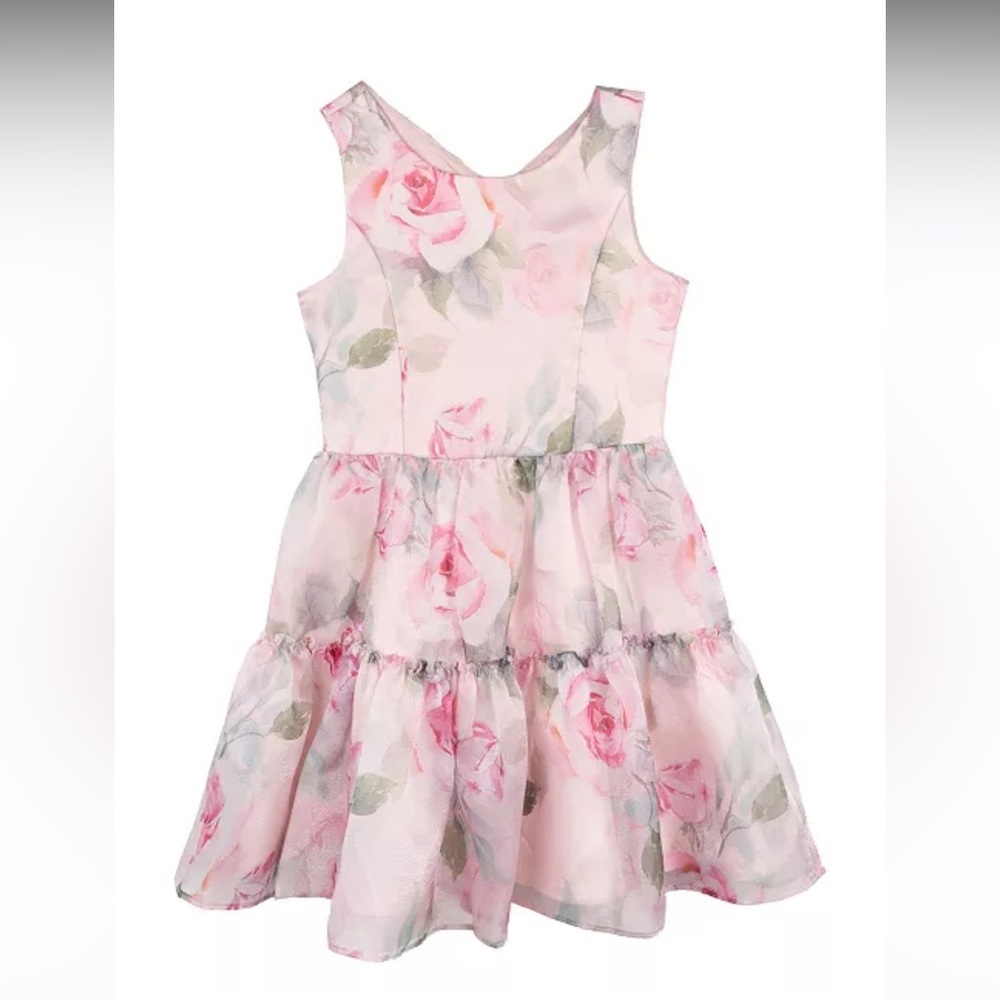 Pink floral organza dress